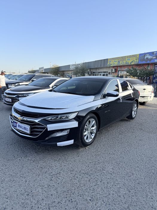 Malibu malibu premer