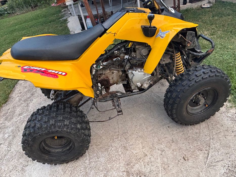 АТВ Can-am 250-DS
