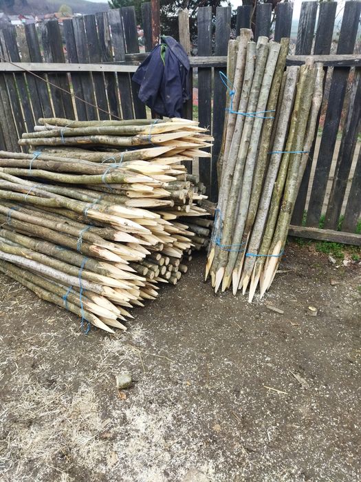 Vând pari pentru gard electric