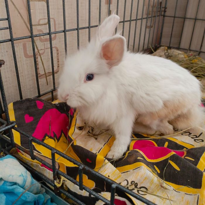 Голубоглазый блондин