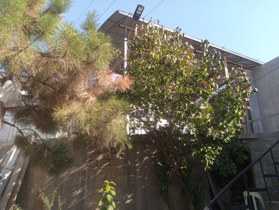 8,5 соток в Яккасарайском районе