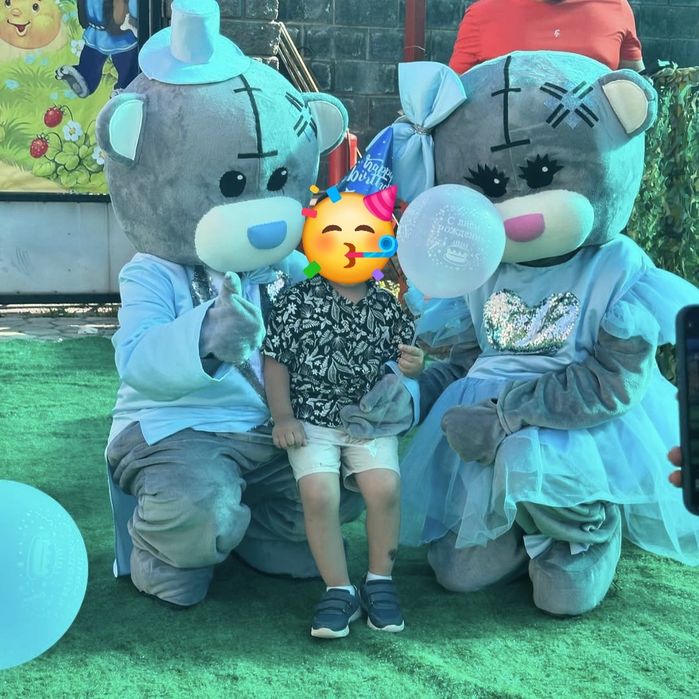 Мишки ростовые Teddy