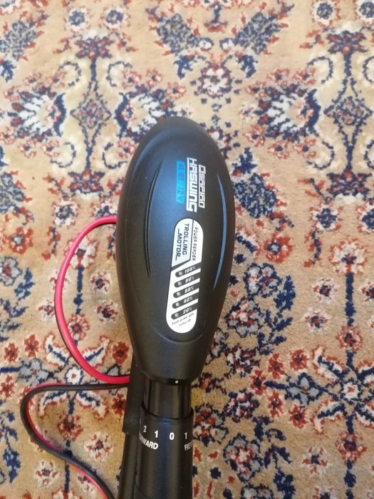 Електрически Мотор HASWING