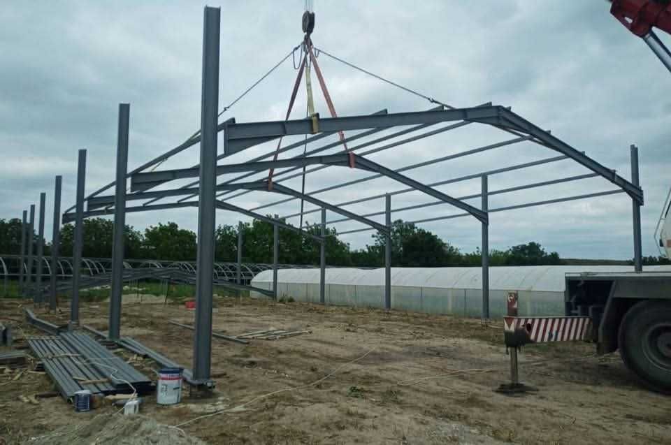 Vand structura metalica, hala completa cu panou sandich