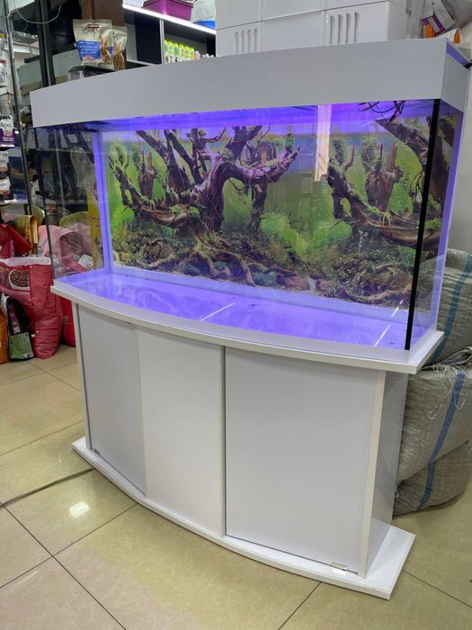 Akvarium 200 litrlik yengi sifat