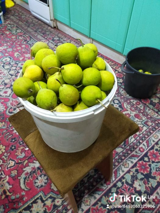 Продам груши сладкие классные
