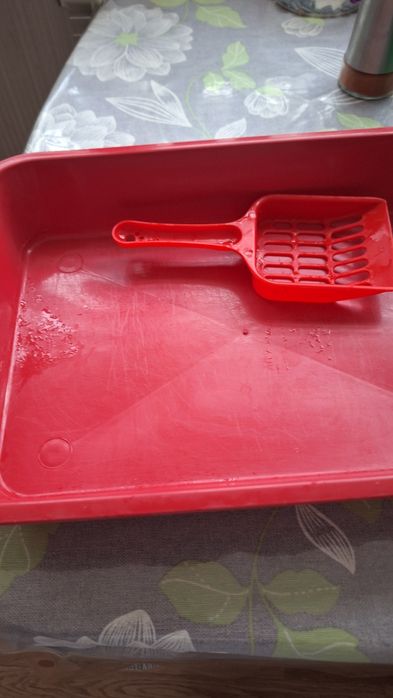 Лоток для котёнка