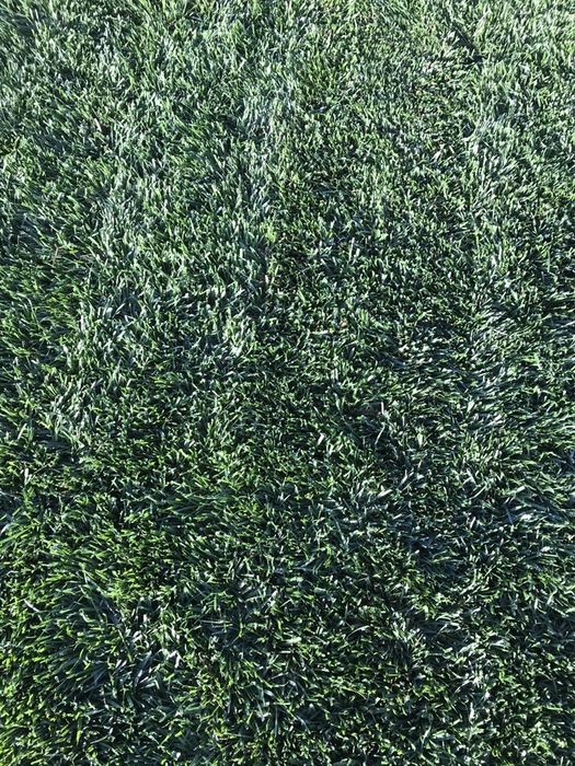 Rulouri de gazon rulou role gazon rulouri