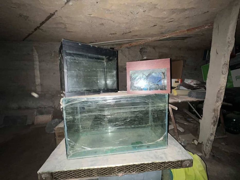 Аквариум срочно сотилади 3 та