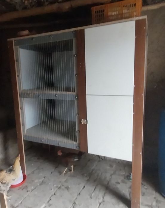 Toviq va qush ini sotiladi