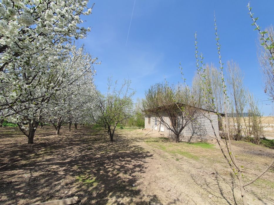 Yer sotiladi 18 sotix. Sotixi 7000$ dan sotiladi