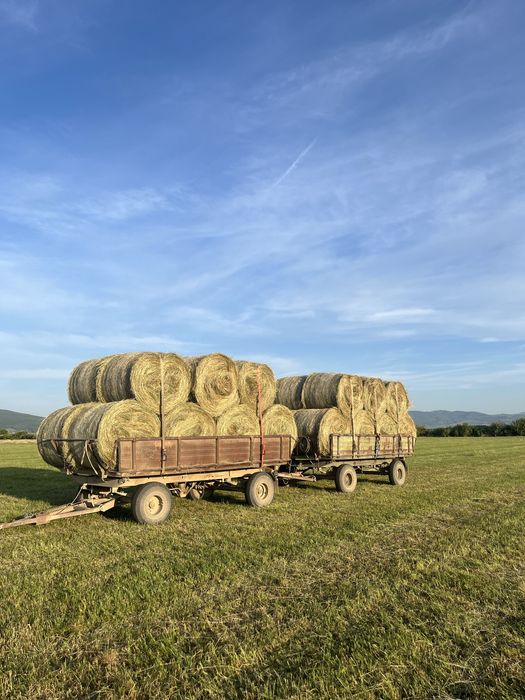 Vand baloti de otava si fan