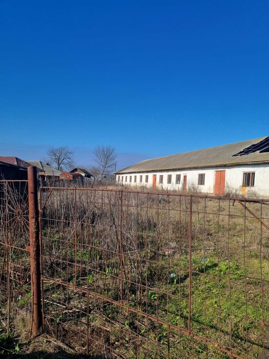 Cladire 450 mp Babaita TR Pret Fix