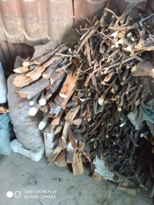 Отын бар кепкен     .