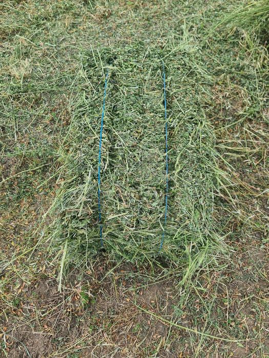 Vând baloti de Lucernă fân productie 2025 trasport la domiciliu