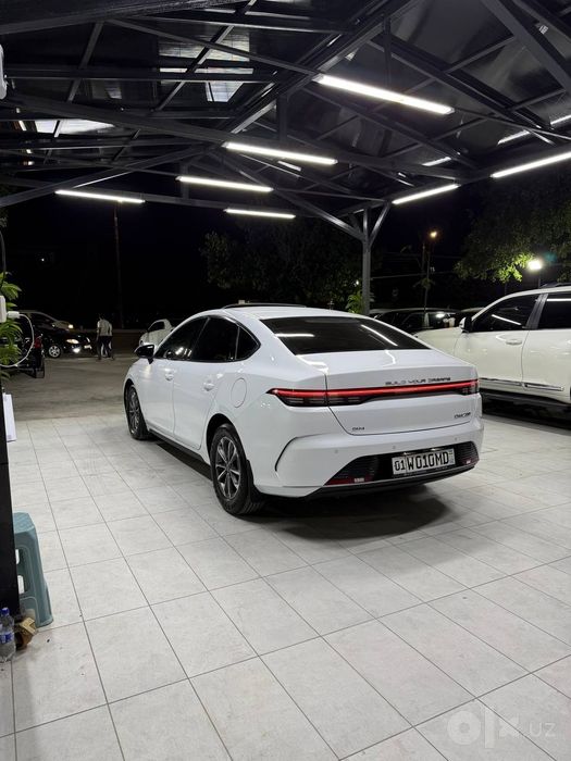 BYD chazor 2024 2 poz