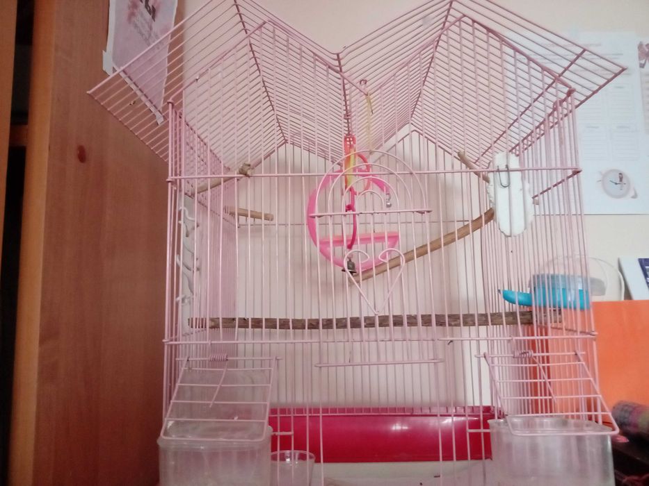 Клетка для попугая с 8 предметами