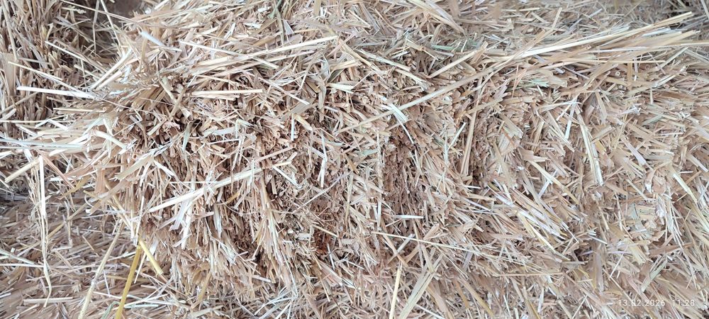 Сомон пресс сот илади.