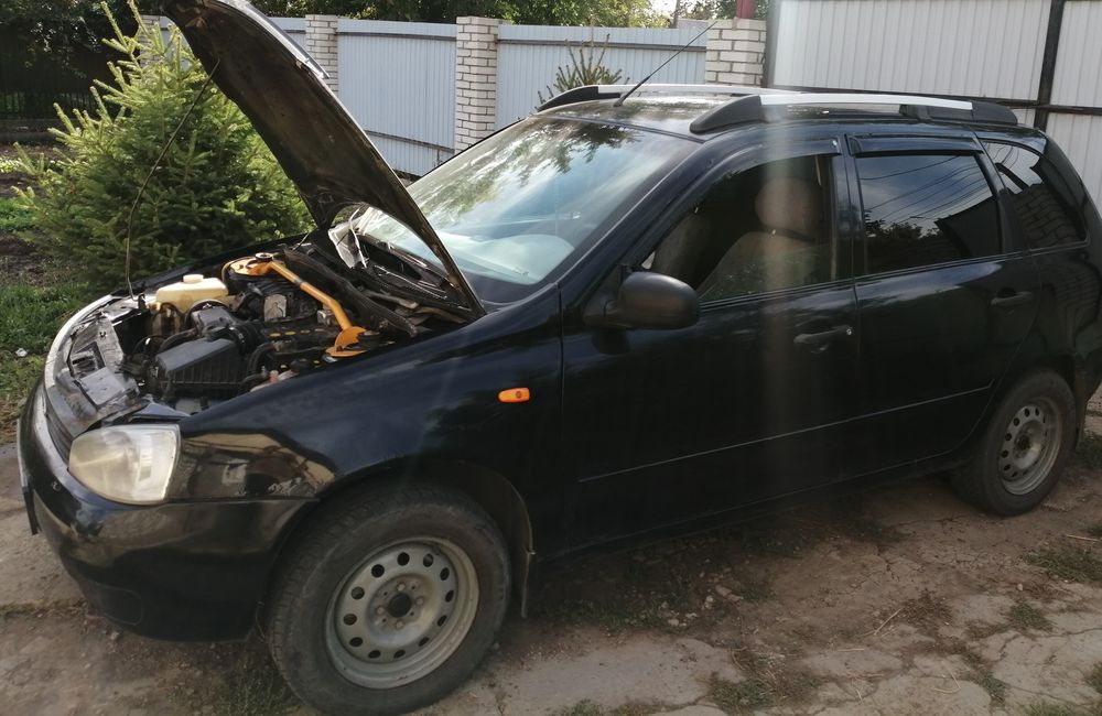 Калина универсал