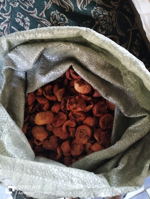 Продам сушёные яблоки