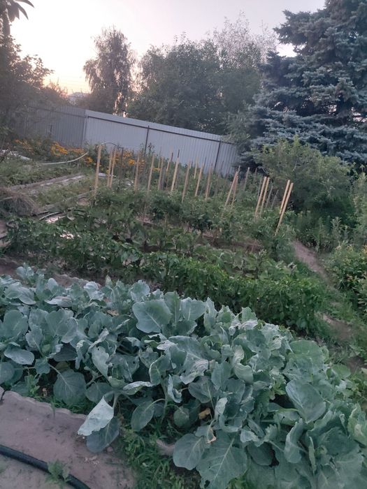 Продам или обменяю дом