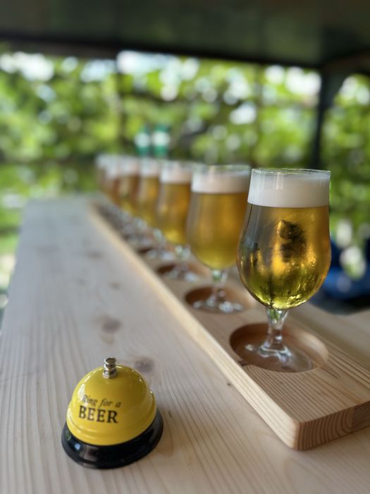 Serviciu Draft Bar/Dozator de bere