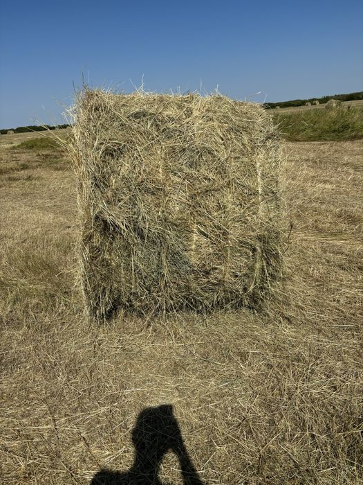 Сено луговое в рулонах