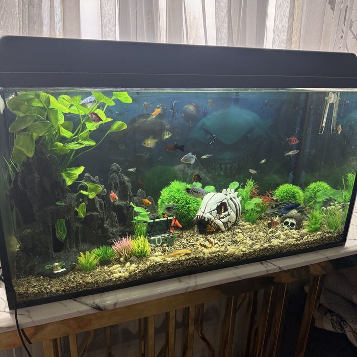Продам аквариум