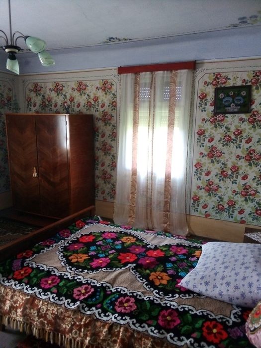 Casă lntre Petriș și săvârșin 6400 mp intravilan  zona foarte bună