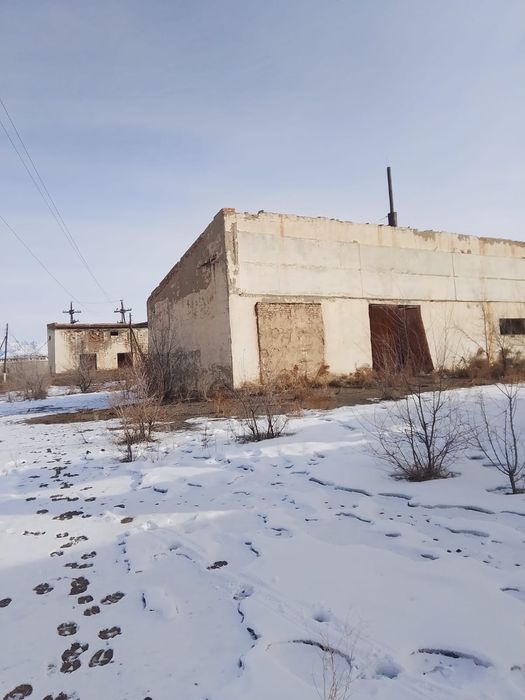 Продам базу рядом с Хоргосом