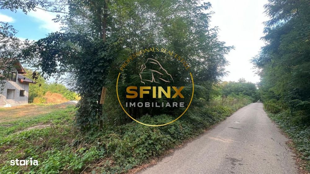 Teren intravilan 2.500 mp | Snagov | Padure I Drum asfaltat