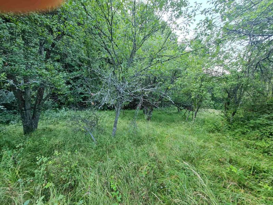 Продава се Парцел в Габрово, Бичкиня - 1200 кв.м за 3 €/кв.м - Снимка #3