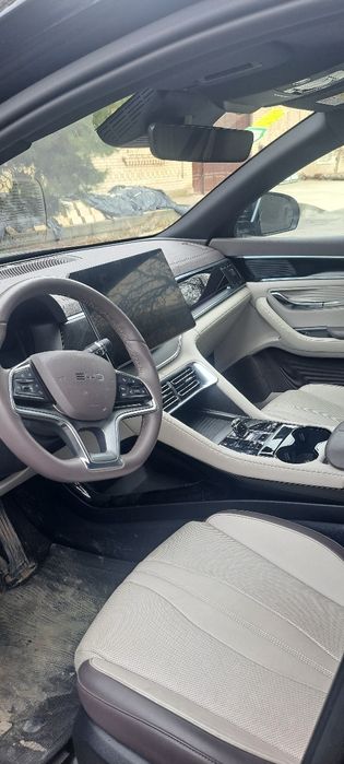 BYD champion restalin