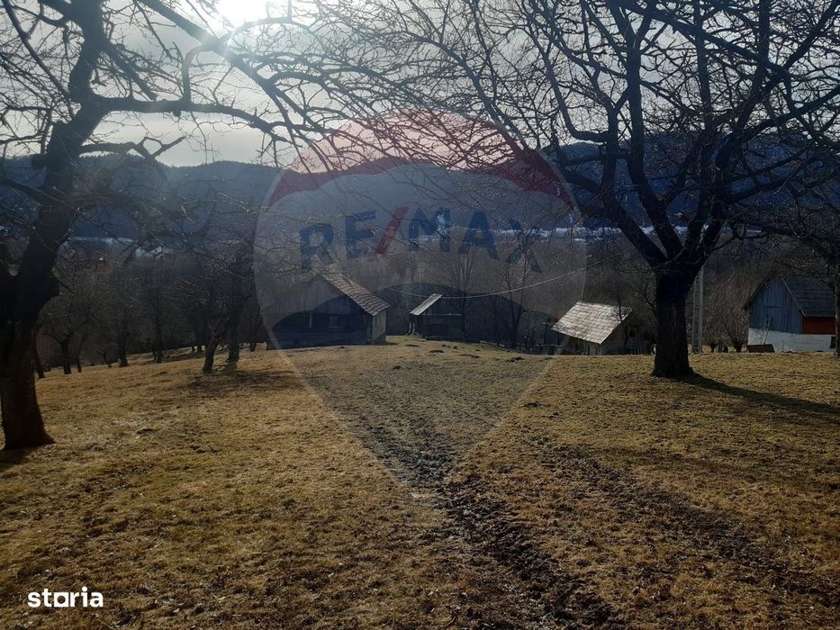 Ocazie! Teren 9735 mp Bran- Predelut / Strada Pe Tarina nr. 70A