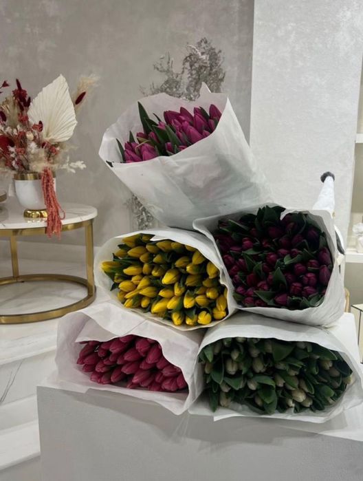 Тюльпаны разных видов