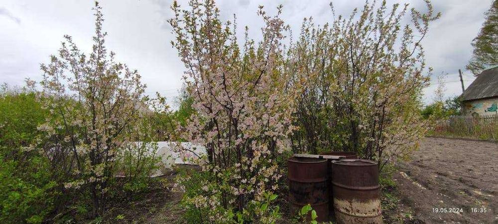 Дача 10 соток Общество «Ракета»