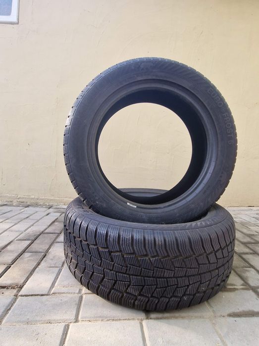 Anvelope BMW x5 255/50 R19 V XL EURO FROST de iarna