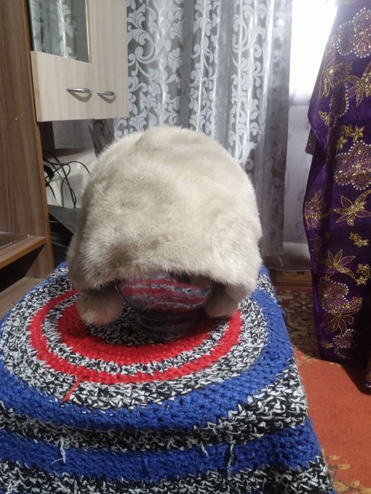 Женские вещи б/у