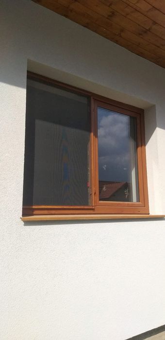 Executām plase anti insecte