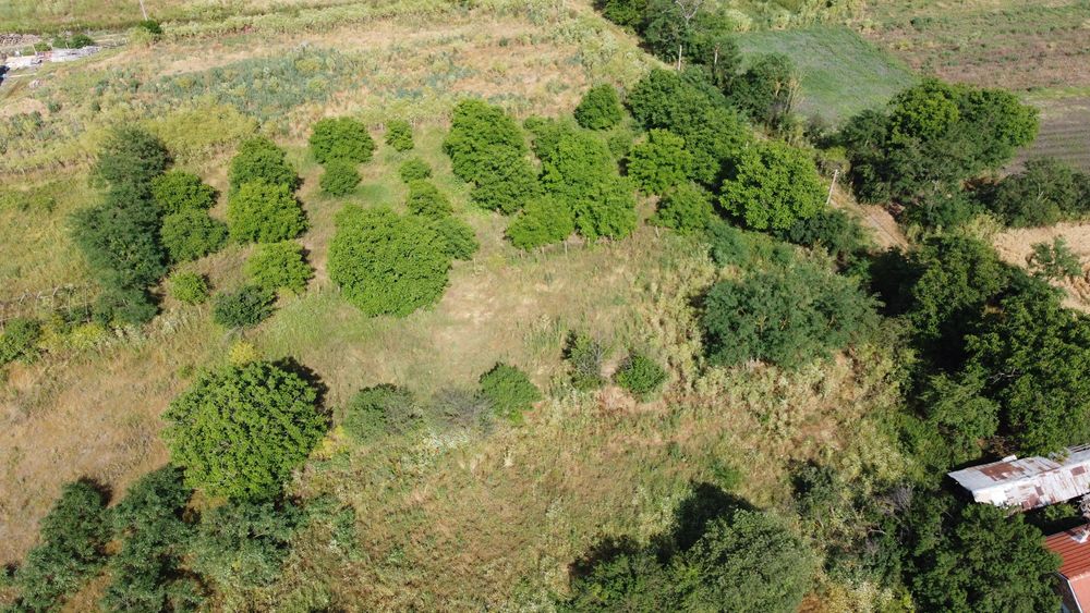 Ексклузивна оферта! Парцел, за продажба, с. Желязово