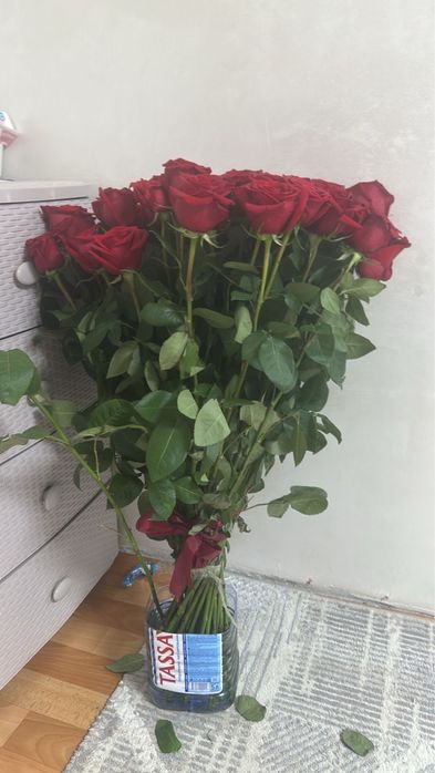 Цветы розы свежие