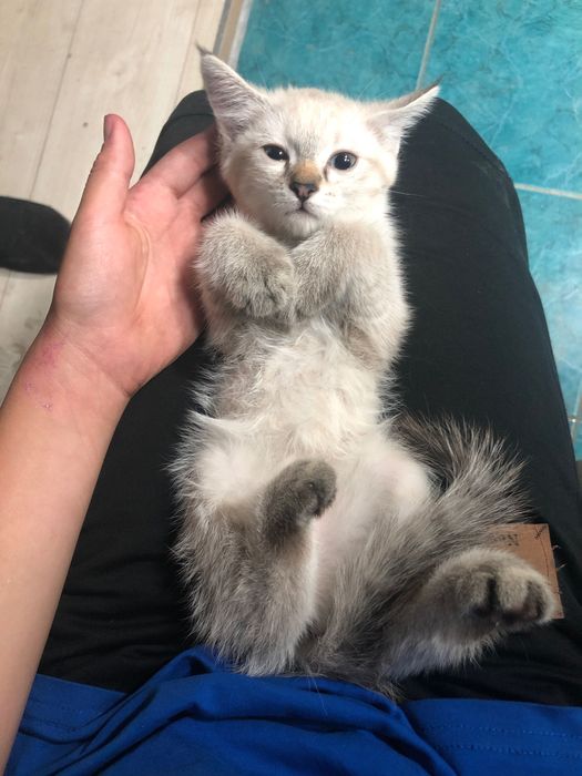 Erotik suratlar yotib