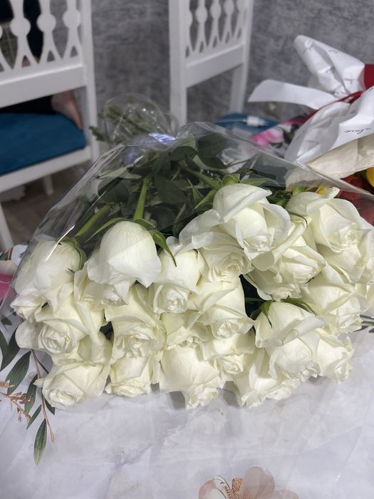 продам цветы Роза Тюлпан