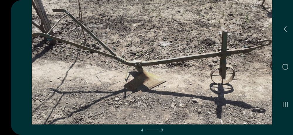 Prasitoare Rarita Plug