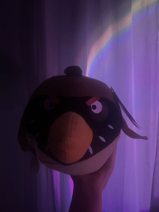 angry birds  ново