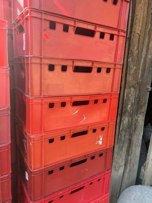 Vand lazi de carnamgetie