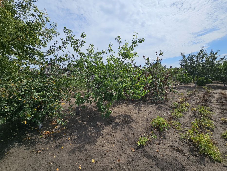 Продажа дома в г.Тобыл