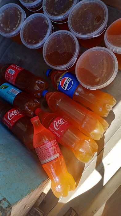 Натуральный мёд 1 литр 3500