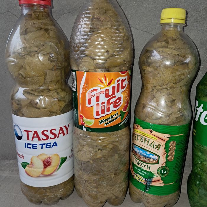 Виноградные листья