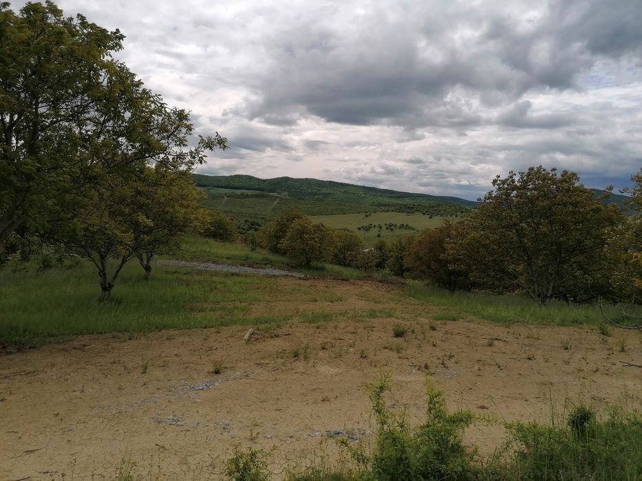 Vând teren extravilan drumul Sigmirului